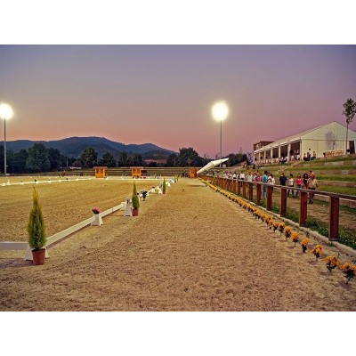 Pista de Enseñanza