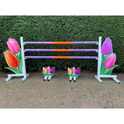 Obstacles Standard Nº23