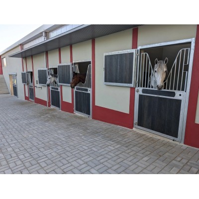 Portas e Janelas